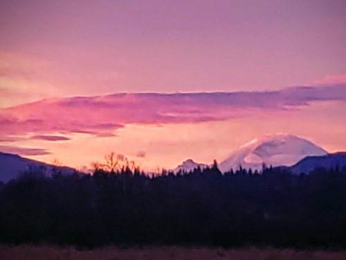 Mt. Rainier